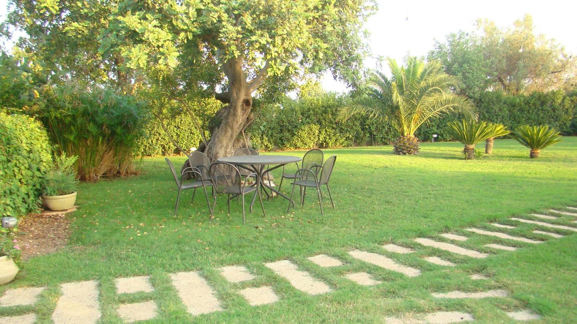 Masseria Ciancio 카사 세라피오리 외부 사진