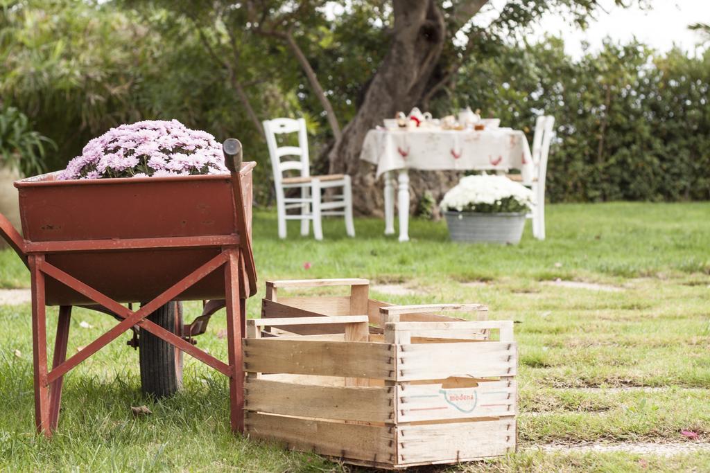 Masseria Ciancio 카사 세라피오리 외부 사진