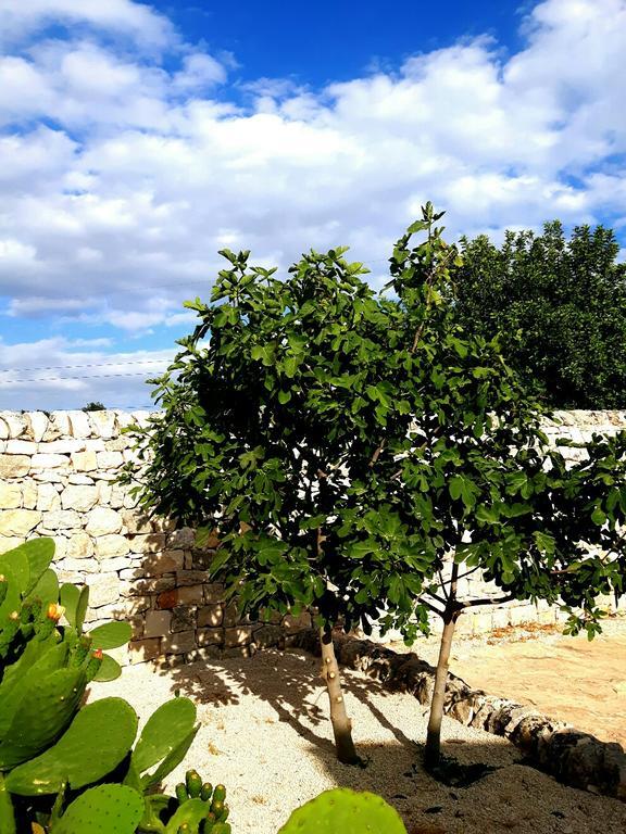 Masseria Ciancio 카사 세라피오리 외부 사진